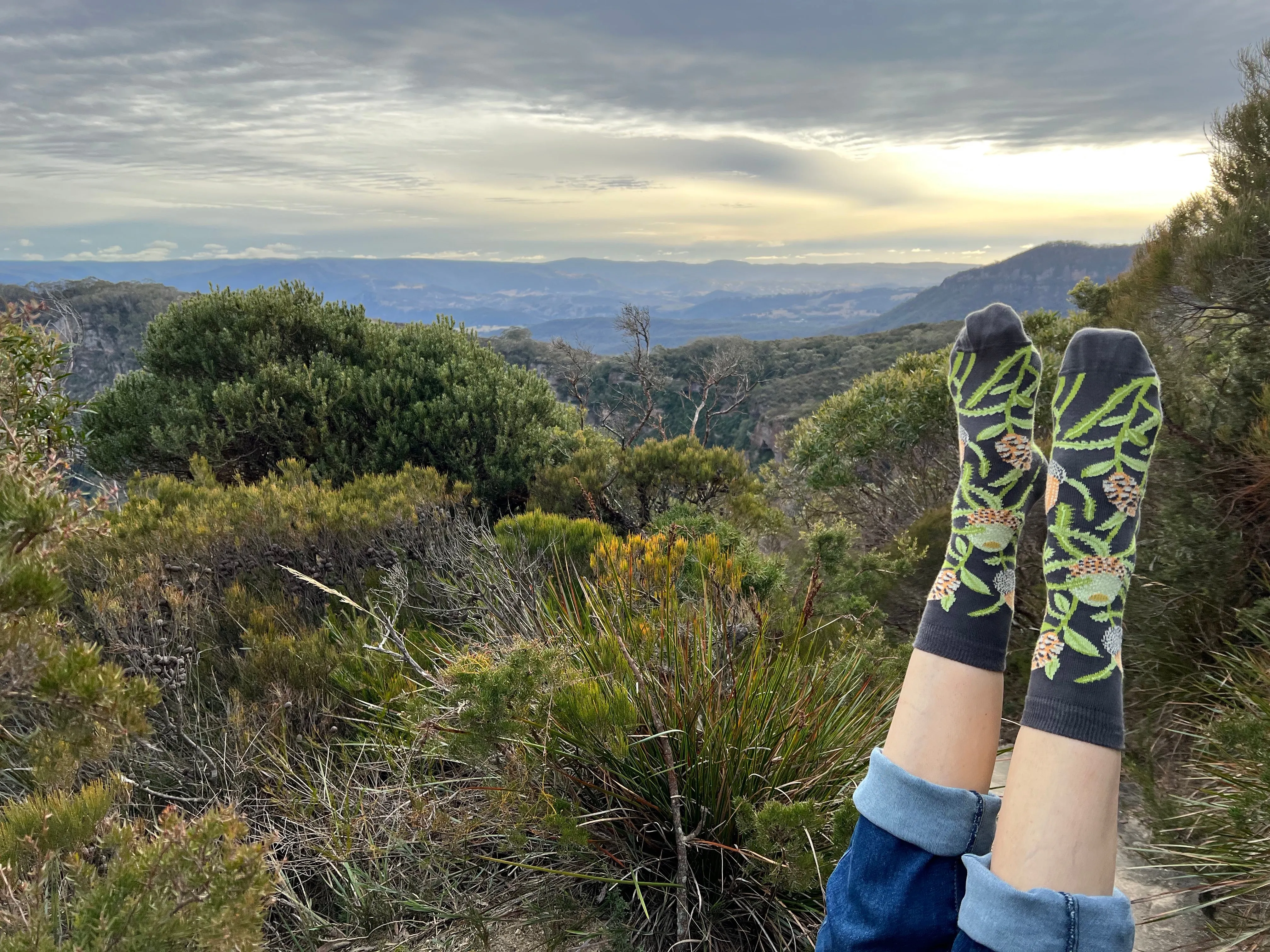 Banksia Women's Crew Socks