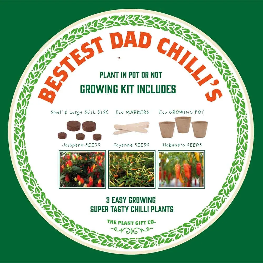Number One Dad Chilli Growing Kit by The Plant Gift Co.