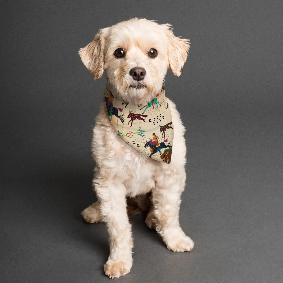 The Hunt Pet's Scarf